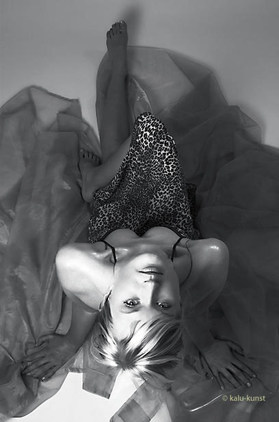 Sophie14